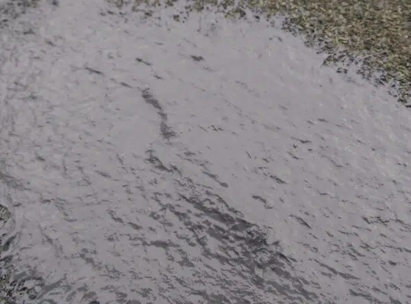 Secret Roof Repair Sauce