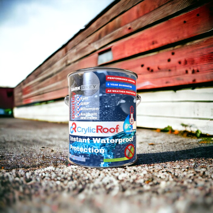 SHED ROOF REPAIR PAINT PhotoRoom 1